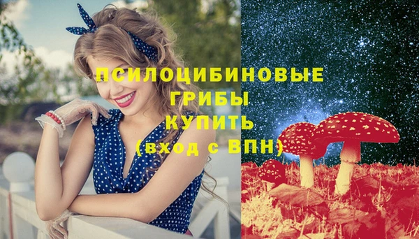 спиды Карталы