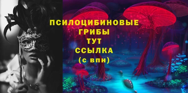а пвп мука Касимов