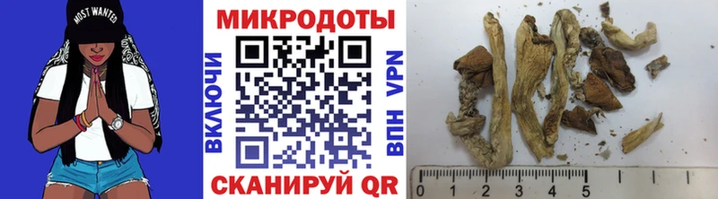 Галлюциногенные грибы мицелий  Купить где  Кулебаки 